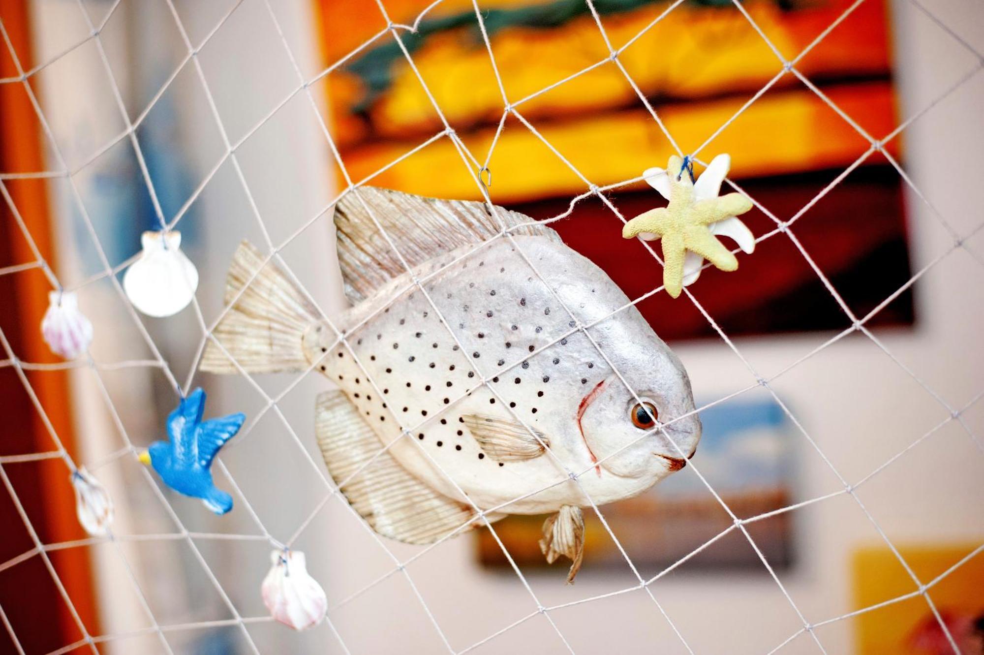 Ferienwohnung Kuestenstuebchen Gruse Bartenshagen-Parkentin Ngoại thất bức ảnh